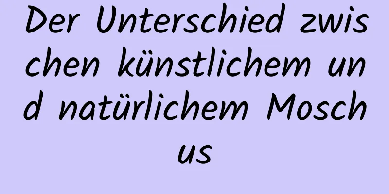 Der Unterschied zwischen künstlichem und natürlichem Moschus