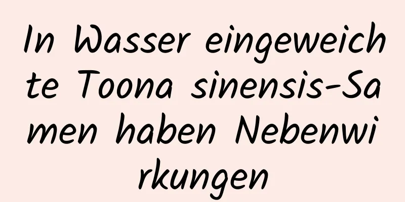 In Wasser eingeweichte Toona sinensis-Samen haben Nebenwirkungen