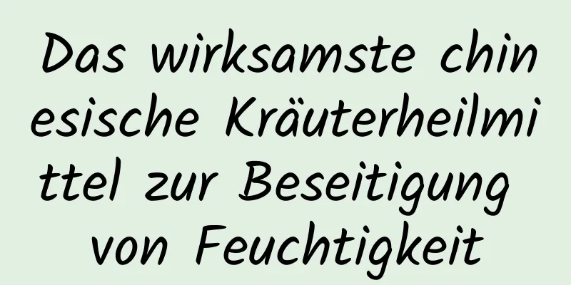 Das wirksamste chinesische Kräuterheilmittel zur Beseitigung von Feuchtigkeit