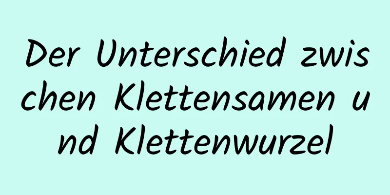 Der Unterschied zwischen Klettensamen und Klettenwurzel