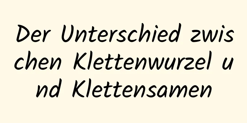 Der Unterschied zwischen Klettenwurzel und Klettensamen