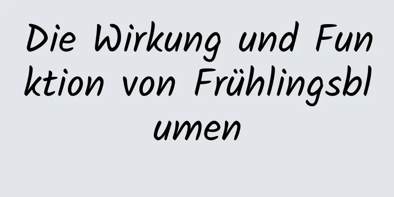 Die Wirkung und Funktion von Frühlingsblumen