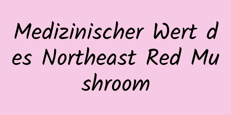 Medizinischer Wert des Northeast Red Mushroom