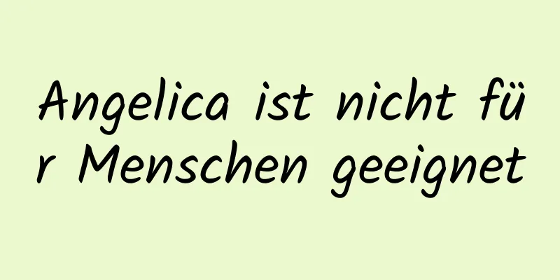 Angelica ist nicht für Menschen geeignet