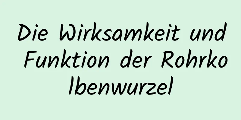 Die Wirksamkeit und Funktion der Rohrkolbenwurzel