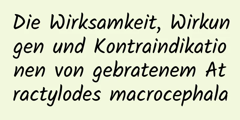 Die Wirksamkeit, Wirkungen und Kontraindikationen von gebratenem Atractylodes macrocephala