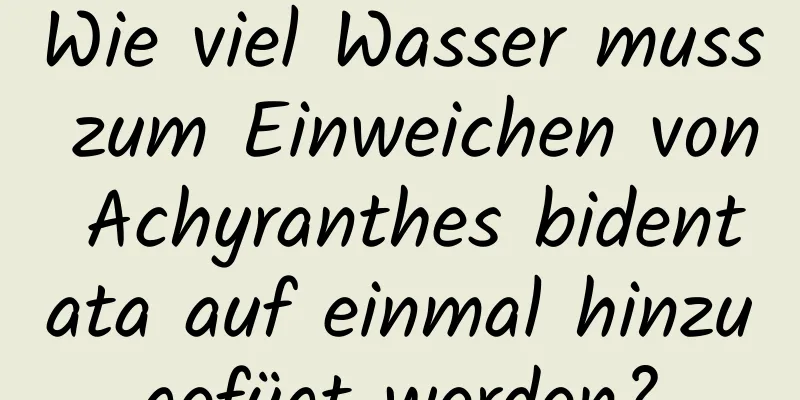 Wie viel Wasser muss zum Einweichen von Achyranthes bidentata auf einmal hinzugefügt werden?