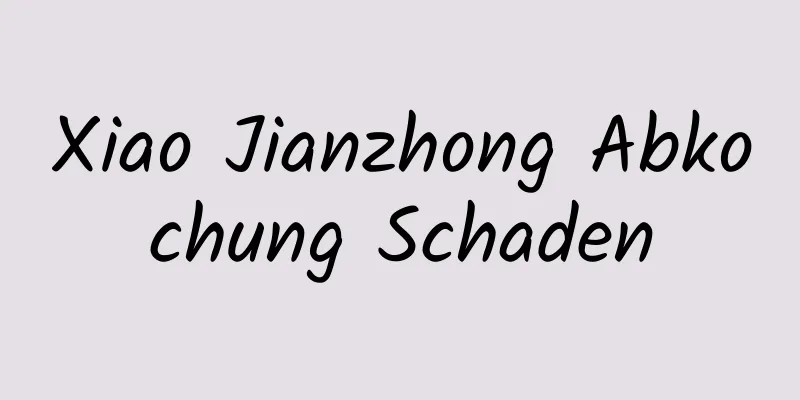 Xiao Jianzhong Abkochung Schaden