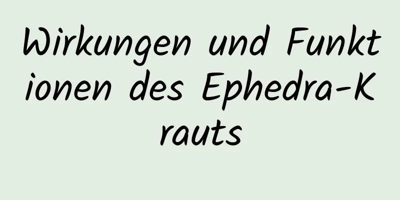 Wirkungen und Funktionen des Ephedra-Krauts