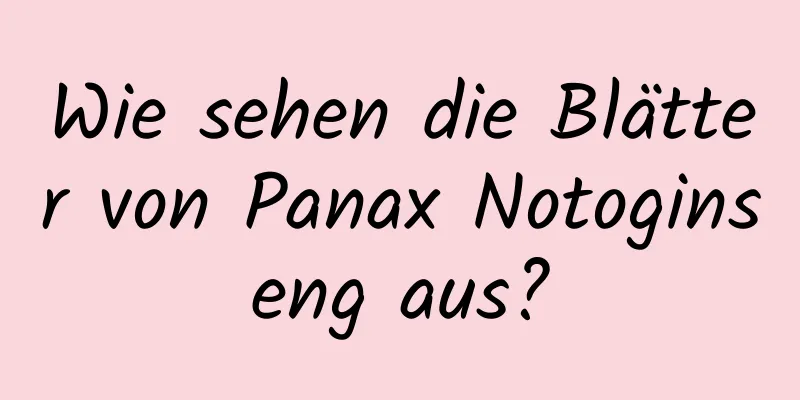 Wie sehen die Blätter von Panax Notoginseng aus?