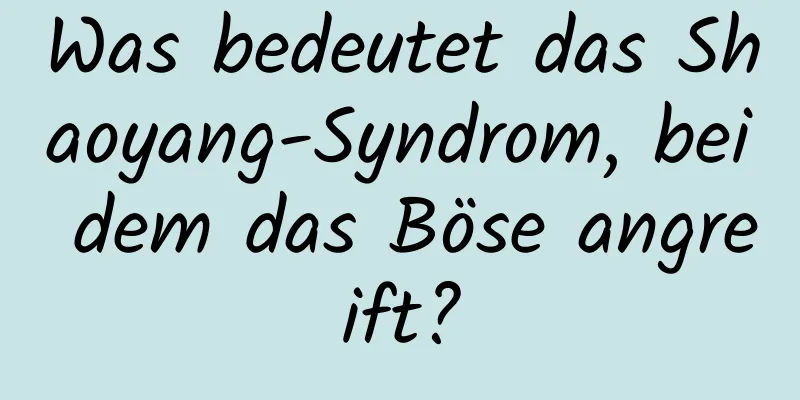 Was bedeutet das Shaoyang-Syndrom, bei dem das Böse angreift?