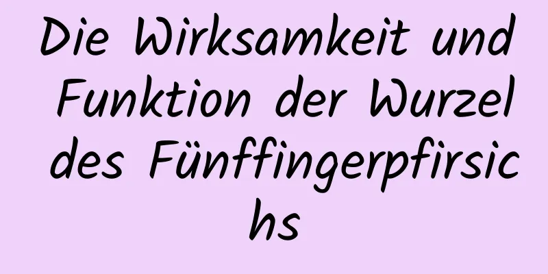 Die Wirksamkeit und Funktion der Wurzel des Fünffingerpfirsichs