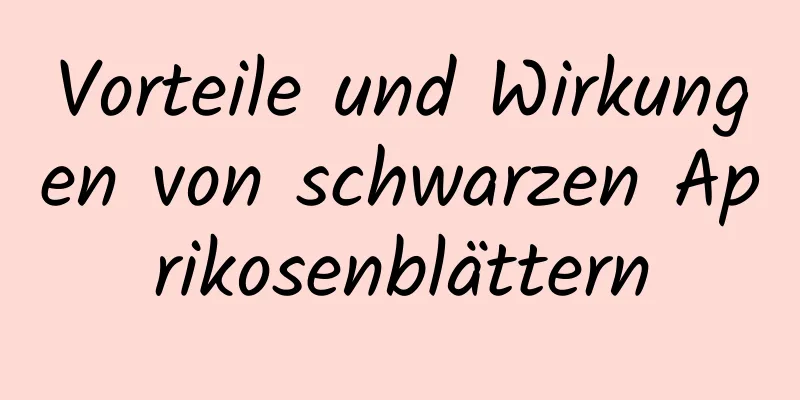 Vorteile und Wirkungen von schwarzen Aprikosenblättern