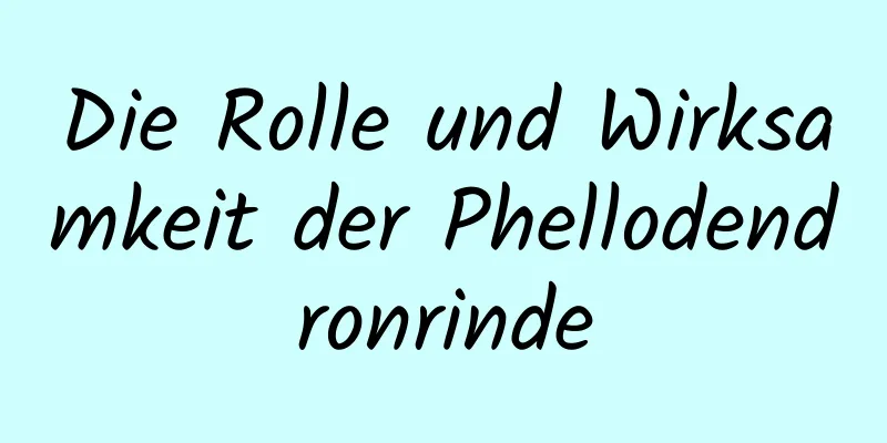 Die Rolle und Wirksamkeit der Phellodendronrinde