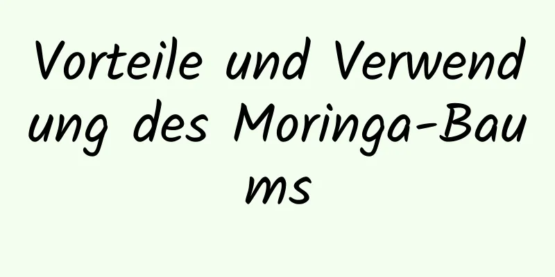 Vorteile und Verwendung des Moringa-Baums