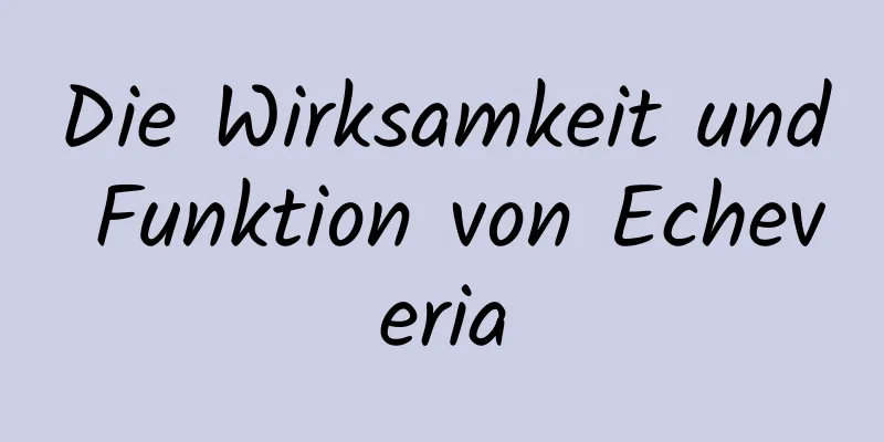 Die Wirksamkeit und Funktion von Echeveria