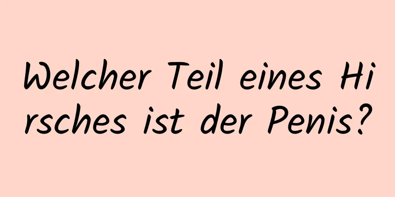 Welcher Teil eines Hirsches ist der Penis?