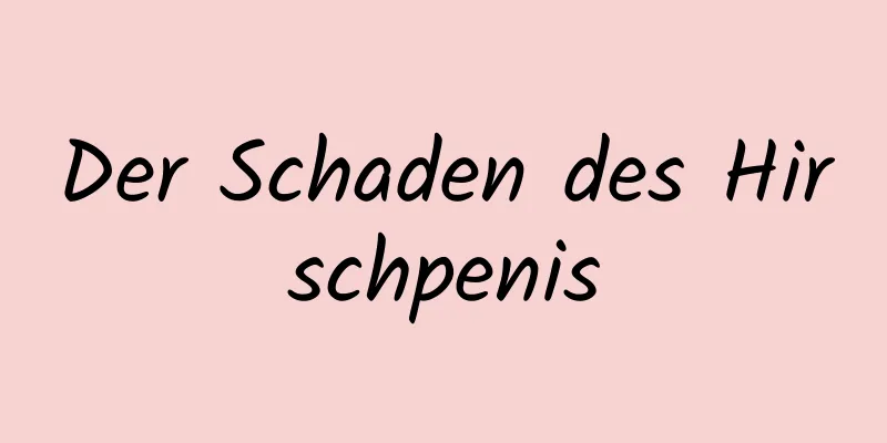 Der Schaden des Hirschpenis