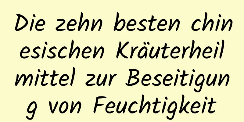 Die zehn besten chinesischen Kräuterheilmittel zur Beseitigung von Feuchtigkeit