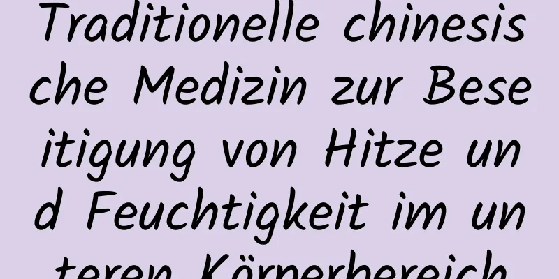 Traditionelle chinesische Medizin zur Beseitigung von Hitze und Feuchtigkeit im unteren Körperbereich