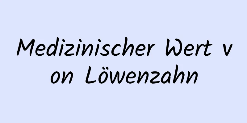 Medizinischer Wert von Löwenzahn