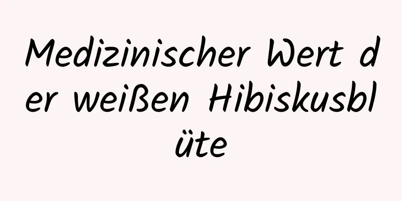 Medizinischer Wert der weißen Hibiskusblüte