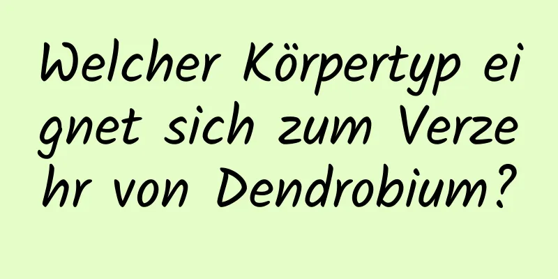 Welcher Körpertyp eignet sich zum Verzehr von Dendrobium?