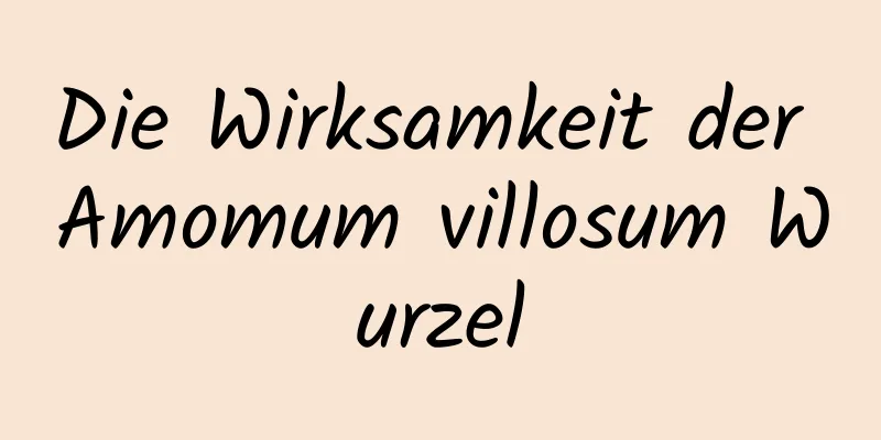 Die Wirksamkeit der Amomum villosum Wurzel