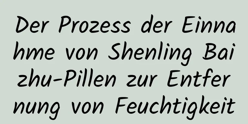 Der Prozess der Einnahme von Shenling Baizhu-Pillen zur Entfernung von Feuchtigkeit