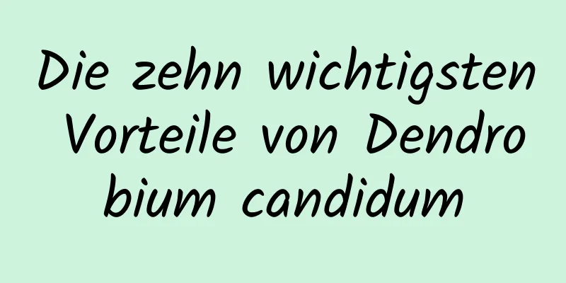 Die zehn wichtigsten Vorteile von Dendrobium candidum