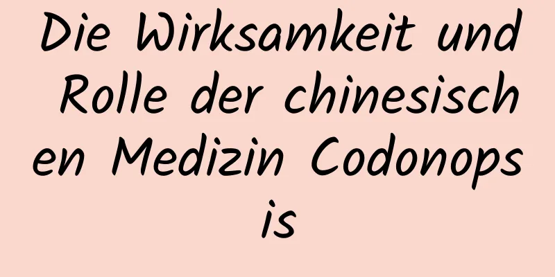 Die Wirksamkeit und Rolle der chinesischen Medizin Codonopsis