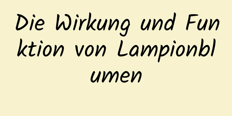 Die Wirkung und Funktion von Lampionblumen