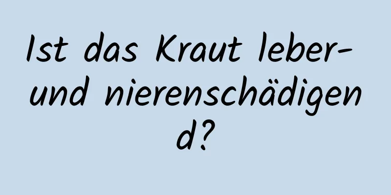 Ist das Kraut leber- und nierenschädigend?