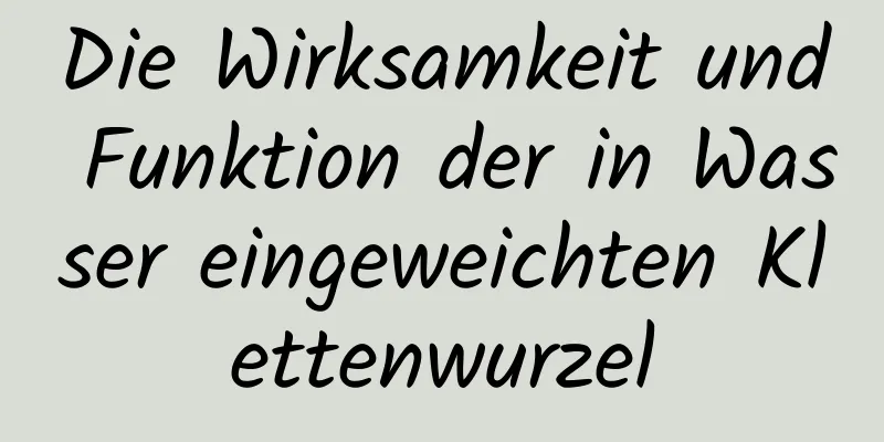 Die Wirksamkeit und Funktion der in Wasser eingeweichten Klettenwurzel