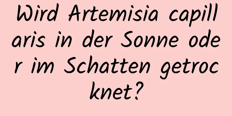 Wird Artemisia capillaris in der Sonne oder im Schatten getrocknet?