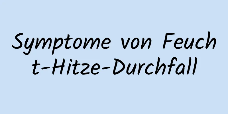 Symptome von Feucht-Hitze-Durchfall