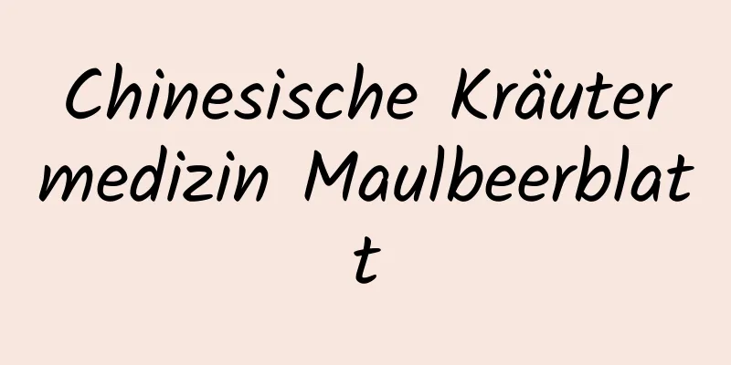 Chinesische Kräutermedizin Maulbeerblatt