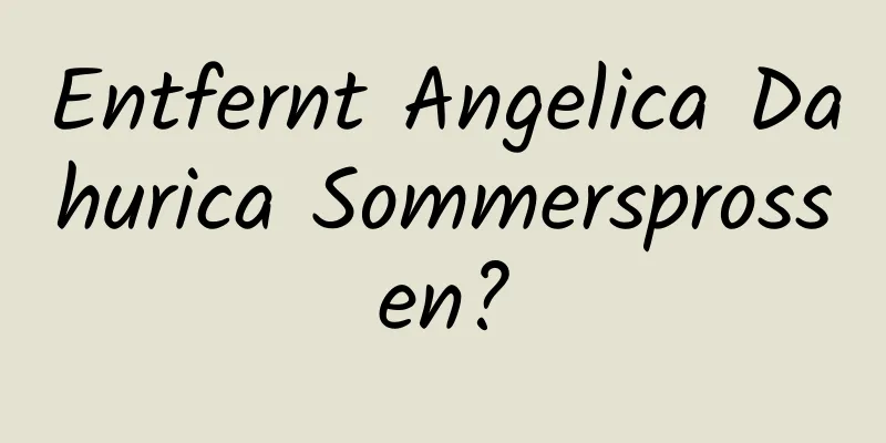 Entfernt Angelica Dahurica Sommersprossen?