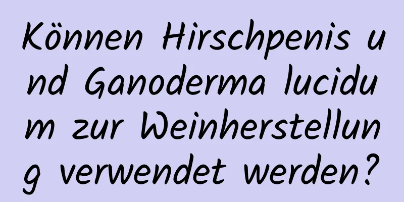 Können Hirschpenis und Ganoderma lucidum zur Weinherstellung verwendet werden?