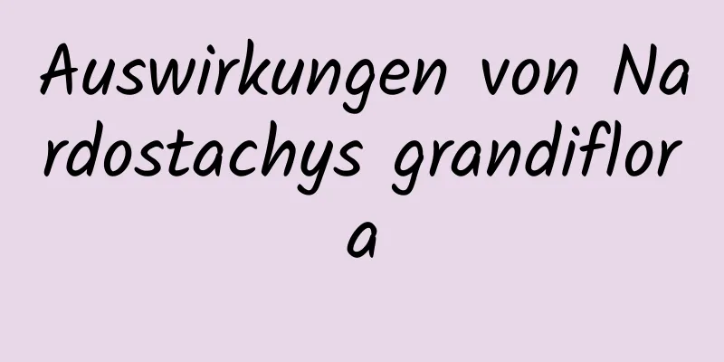 Auswirkungen von Nardostachys grandiflora