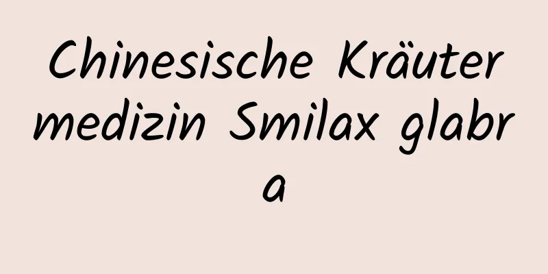 Chinesische Kräutermedizin Smilax glabra