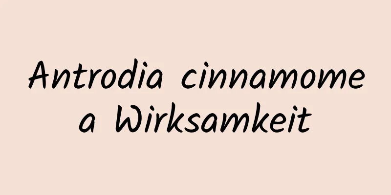 Antrodia cinnamomea Wirksamkeit