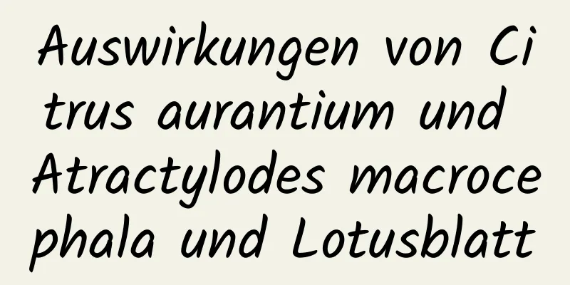 Auswirkungen von Citrus aurantium und Atractylodes macrocephala und Lotusblatt