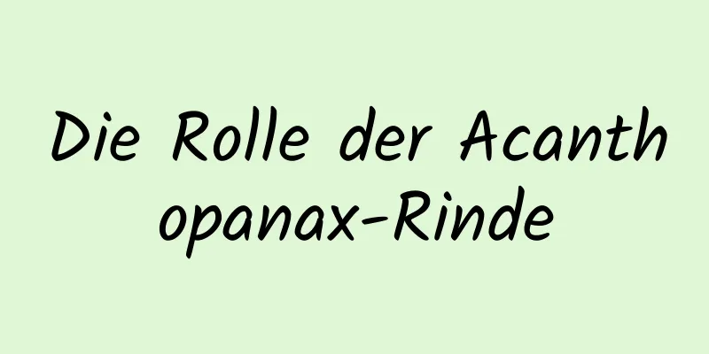 Die Rolle der Acanthopanax-Rinde