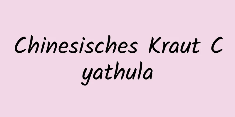 Chinesisches Kraut Cyathula