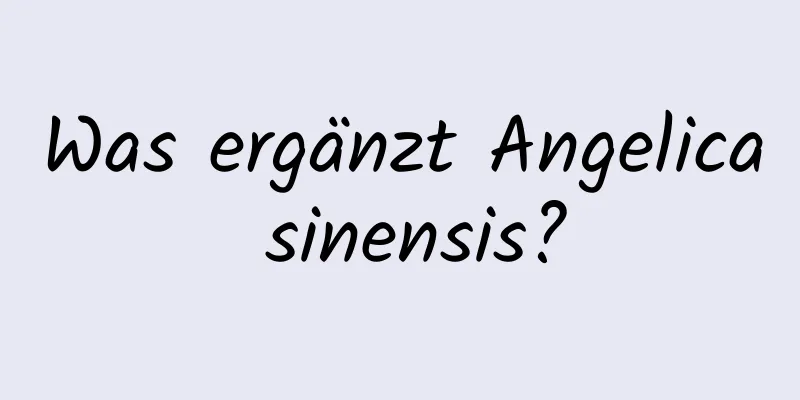 Was ergänzt Angelica sinensis?