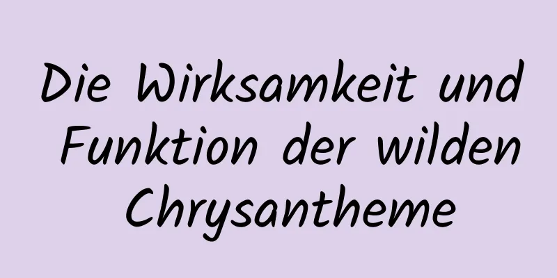 Die Wirksamkeit und Funktion der wilden Chrysantheme