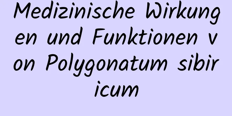 Medizinische Wirkungen und Funktionen von Polygonatum sibiricum