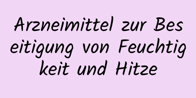 Arzneimittel zur Beseitigung von Feuchtigkeit und Hitze