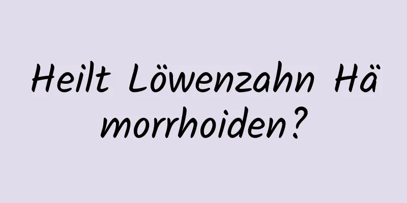 Heilt Löwenzahn Hämorrhoiden?